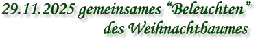 29.11.2025 gemeinsames “Beleuchten” des Weihnachtbaumes